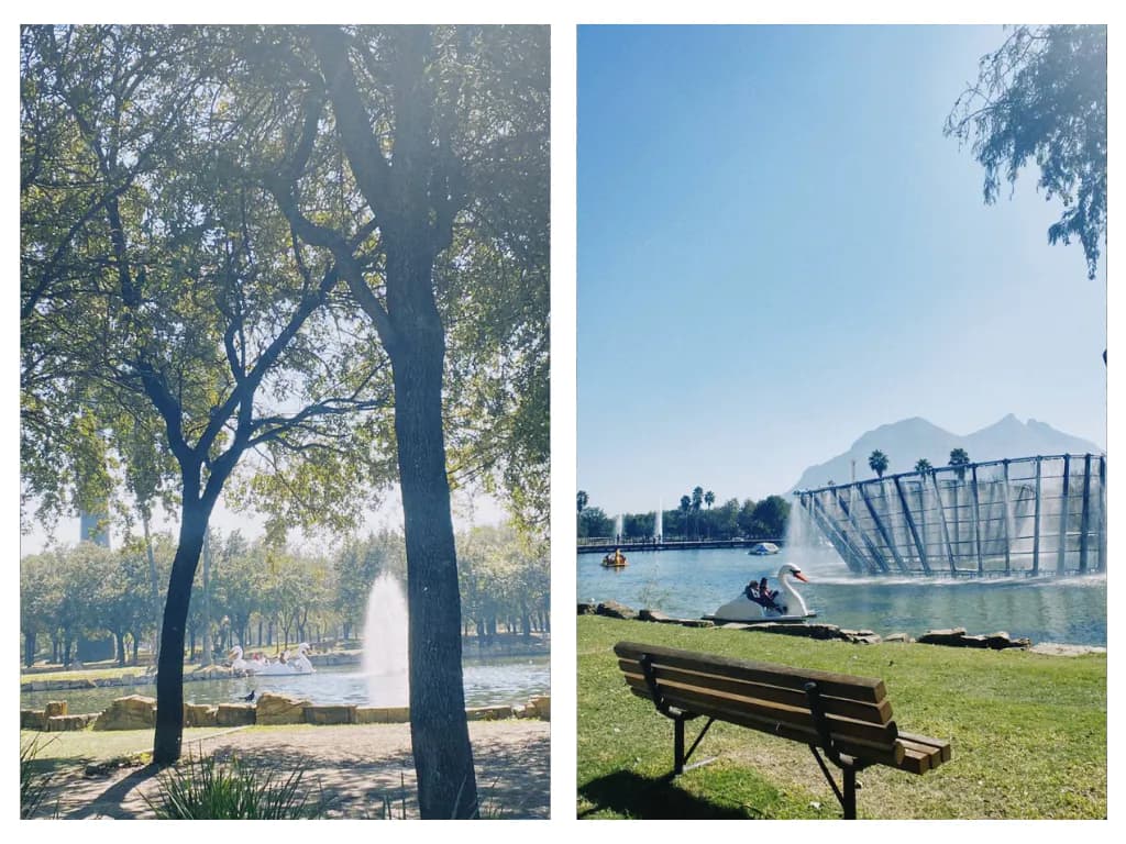 The park in November 2022